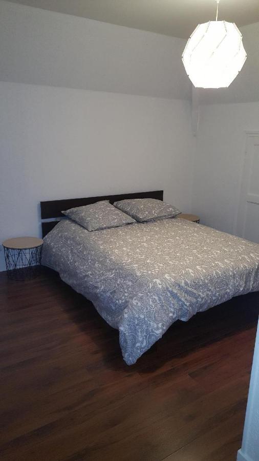 Bel appartement en plein coeur de ville Le Creusot Buitenkant foto